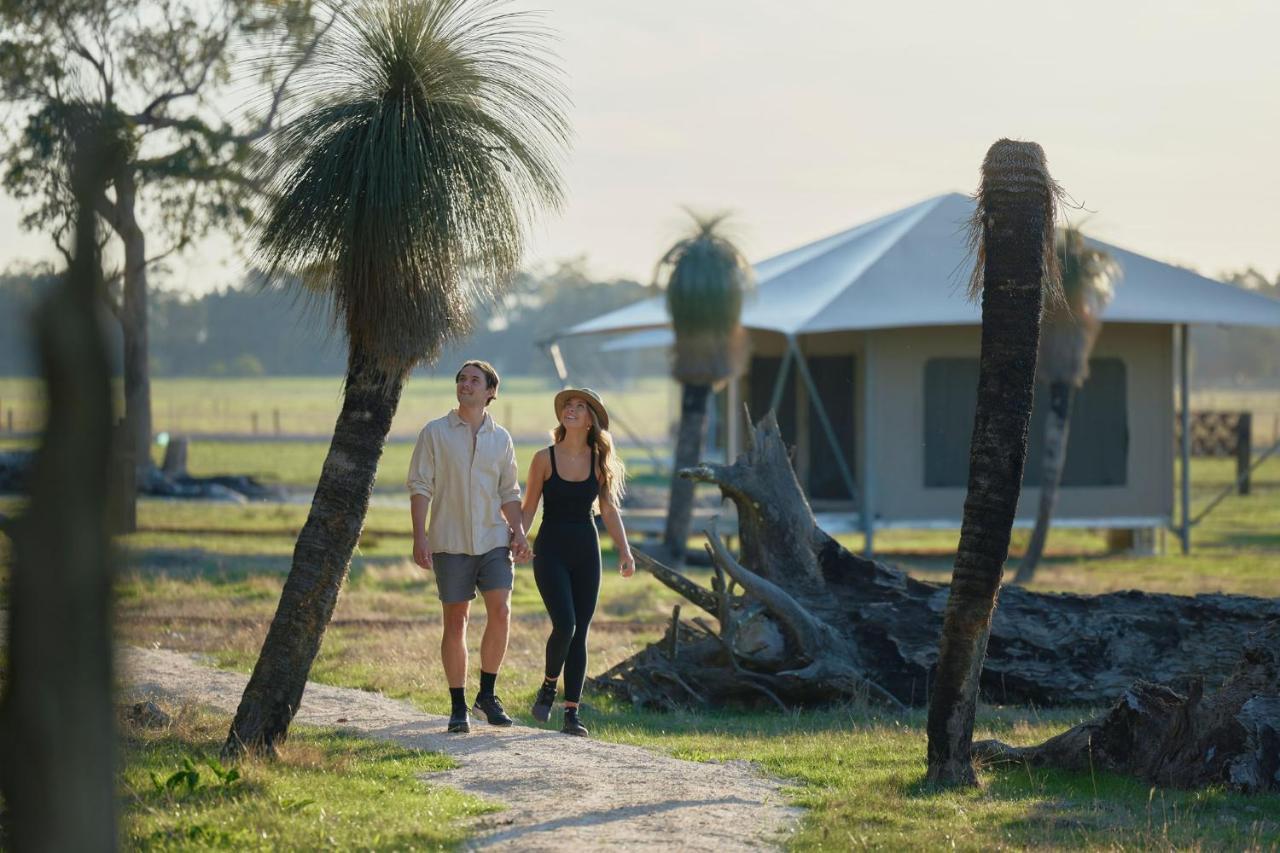 Willow Wood Glamping Retreat Broadwater Buitenkant foto