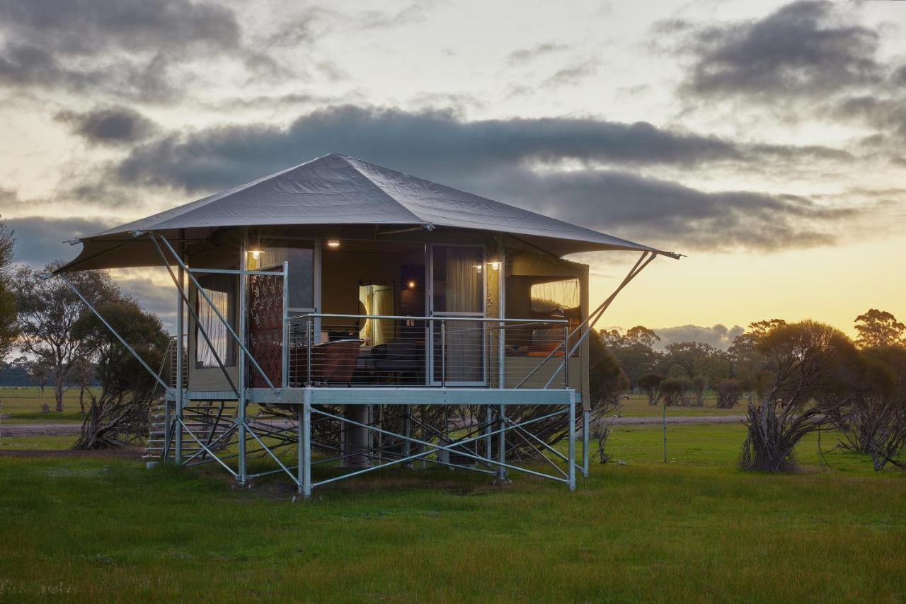 Willow Wood Glamping Retreat Broadwater Buitenkant foto